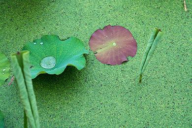 《最终幻想15》全球累计销量突破1000万 官方发文感谢玩家